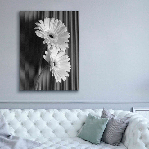 Image of 'Fresh Cut Daisy I' by Debra Van Swearingen, Canvas Wall Art,40 x 54