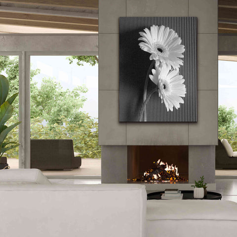 Image of 'Fresh Cut Daisy I' by Debra Van Swearingen, Canvas Wall Art,40 x 54