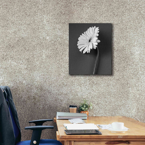 Image of 'Fresh Cut Daisy II' by Debra Van Swearingen, Canvas Wall Art,20 x 24