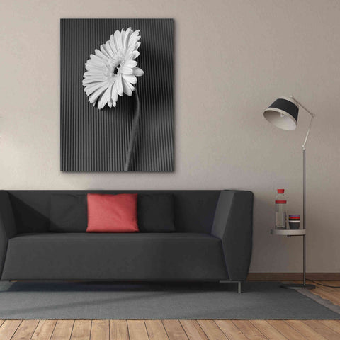 Image of 'Fresh Cut Daisy II' by Debra Van Swearingen, Canvas Wall Art,40 x 54