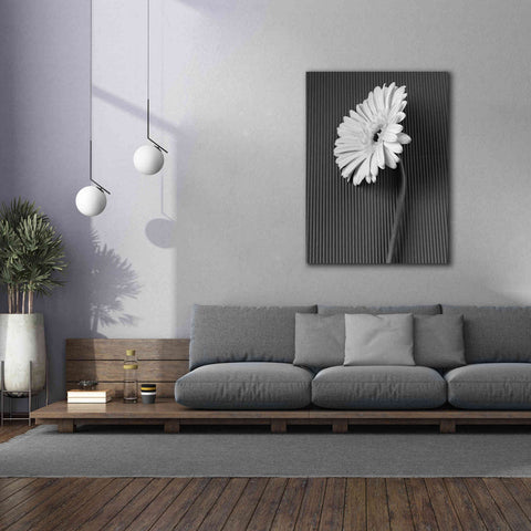 Image of 'Fresh Cut Daisy II' by Debra Van Swearingen, Canvas Wall Art,40 x 54