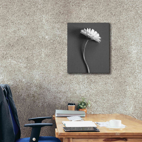 Image of 'Fresh Cut Daisy III' by Debra Van Swearingen, Canvas Wall Art,20 x 24