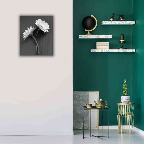 Image of 'Fresh Cut Daisy IV' by Debra Van Swearingen, Canvas Wall Art,20 x 24