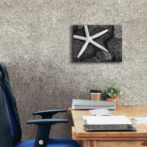 Image of 'Explore' by Debra Van Swearingen, Canvas Wall Art,16 x 12