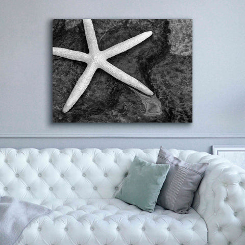 Image of 'Explore' by Debra Van Swearingen, Canvas Wall Art,54 x 40