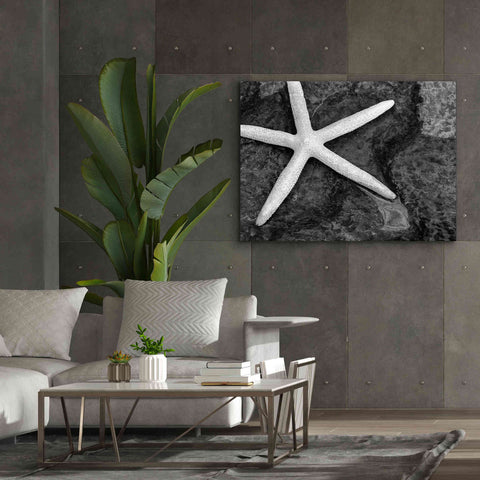 Image of 'Explore' by Debra Van Swearingen, Canvas Wall Art,54 x 40