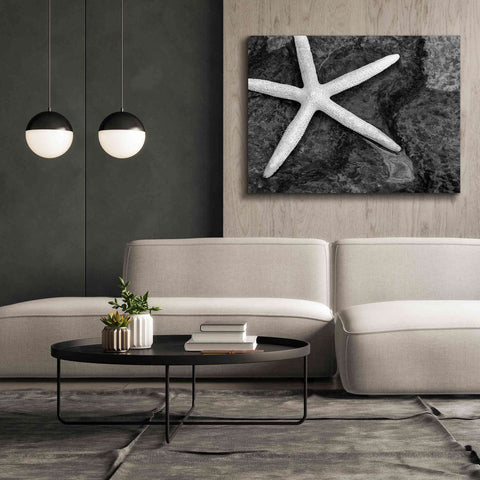 Image of 'Explore' by Debra Van Swearingen, Canvas Wall Art,54 x 40