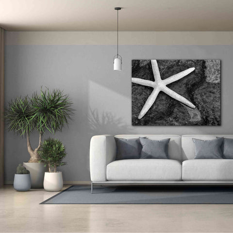 Image of 'Explore' by Debra Van Swearingen, Canvas Wall Art,54 x 40