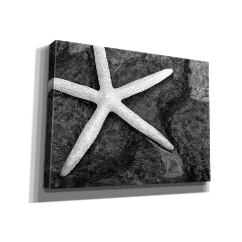 Image of 'Explore' by Debra Van Swearingen, Canvas Wall Art,16x12x1.1x0,26x18x1.1x0,34x26x1.74x0,54x40x1.74x0