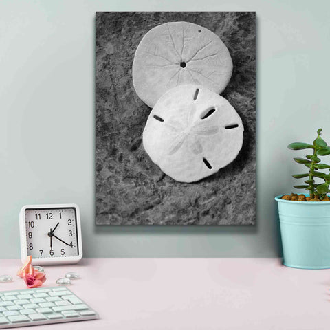 Image of 'Dream' by Debra Van Swearingen, Canvas Wall Art,12 x 16