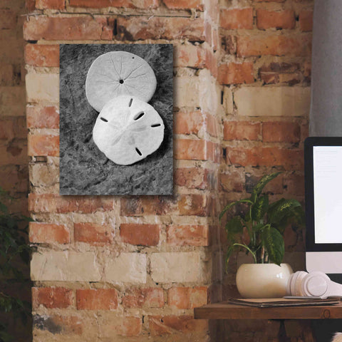 Image of 'Dream' by Debra Van Swearingen, Canvas Wall Art,12 x 16