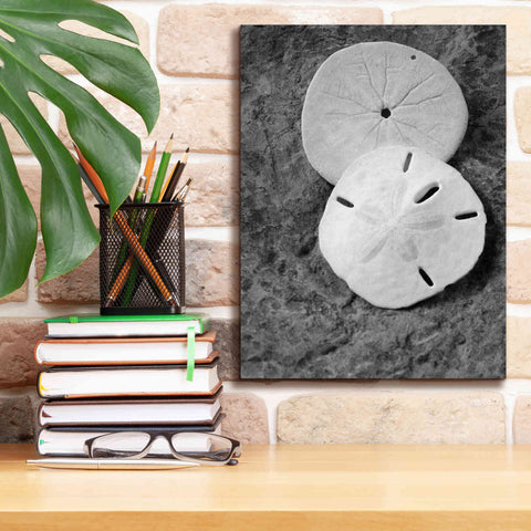 Image of 'Dream' by Debra Van Swearingen, Canvas Wall Art,12 x 16