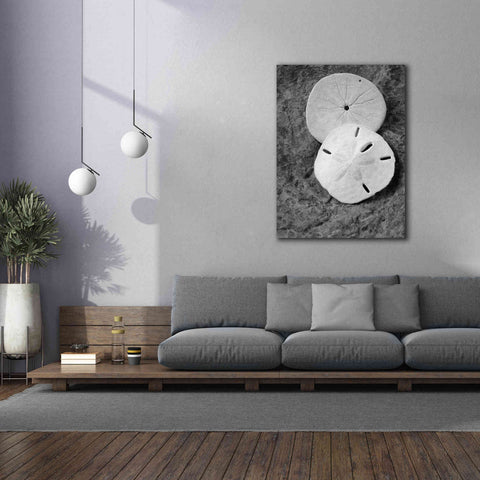 Image of 'Dream' by Debra Van Swearingen, Canvas Wall Art,40 x 54