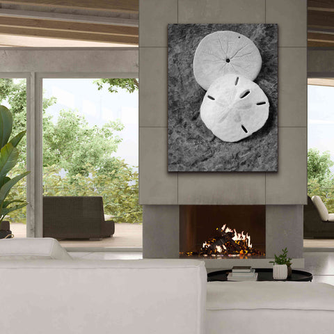 Image of 'Dream' by Debra Van Swearingen, Canvas Wall Art,40 x 54