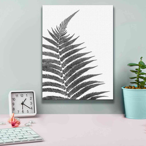 Image of 'Truth' by Debra Van Swearingen, Canvas Wall Art,12 x 16