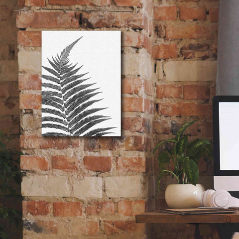 Image of 'Truth' by Debra Van Swearingen, Canvas Wall Art,12 x 16