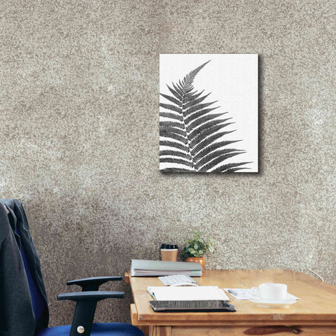 Image of 'Truth' by Debra Van Swearingen, Canvas Wall Art,20 x 24