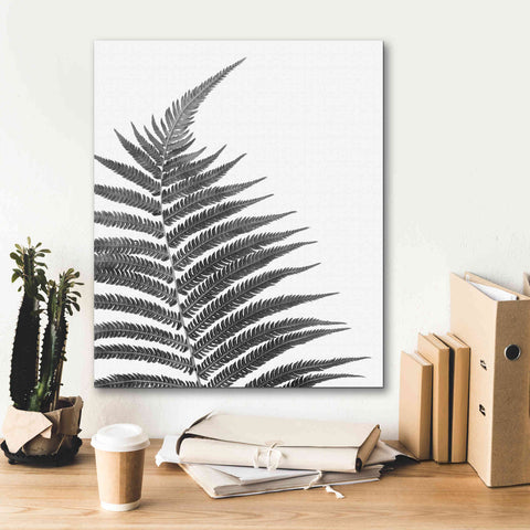 Image of 'Truth' by Debra Van Swearingen, Canvas Wall Art,20 x 24