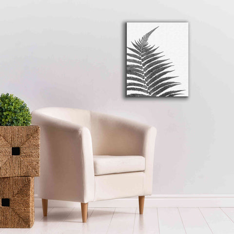 Image of 'Truth' by Debra Van Swearingen, Canvas Wall Art,20 x 24