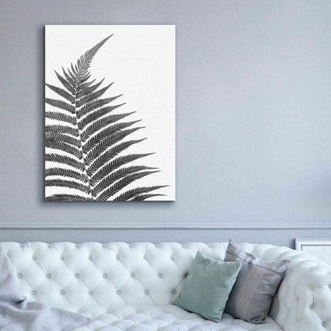 Image of 'Truth' by Debra Van Swearingen, Canvas Wall Art,40 x 54