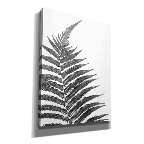 Image of 'Truth' by Debra Van Swearingen, Canvas Wall Art,12x16x1.1x0,20x24x1.1x0,26x30x1.74x0,40x54x1.74x0