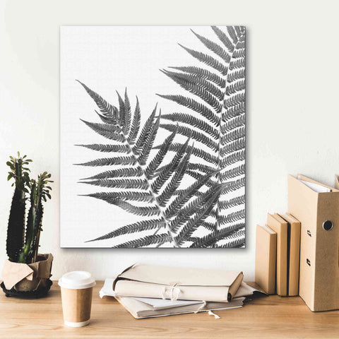 Image of 'Aspire' by Debra Van Swearingen, Canvas Wall Art,20 x 24