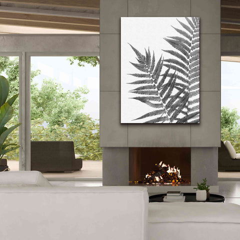 Image of 'Aspire' by Debra Van Swearingen, Canvas Wall Art,40 x 54