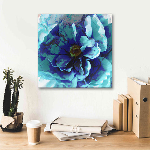 Image of 'Blue Flower' by Shandra Smith, Canvas Wall Art,18 x 18