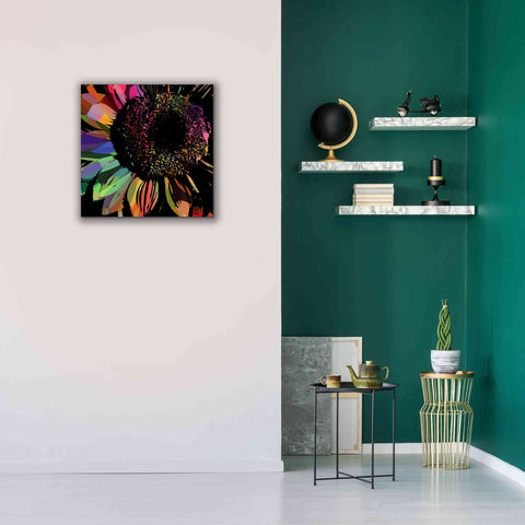 Image of 'Flower 30' by Shandra Smith, Canvas Wall Art,26 x 26