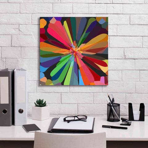 Image of 'Flower 12' by Shandra Smith, Canvas Wall Art,18 x 18