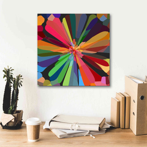Image of 'Flower 12' by Shandra Smith, Canvas Wall Art,18 x 18