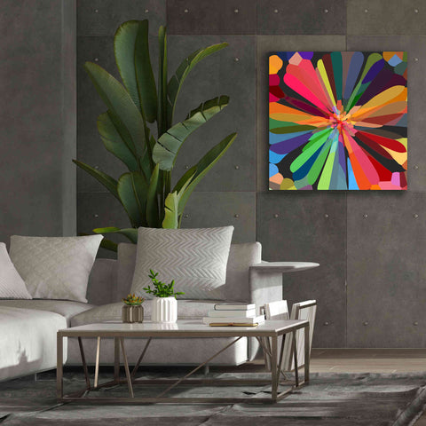 Image of 'Flower 12' by Shandra Smith, Canvas Wall Art,37 x 37