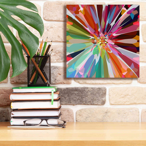 Image of 'Flower 16' by Shandra Smith, Canvas Wall Art,12 x 12