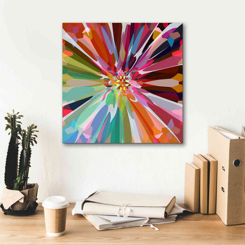 Image of 'Flower 16' by Shandra Smith, Canvas Wall Art,18 x 18