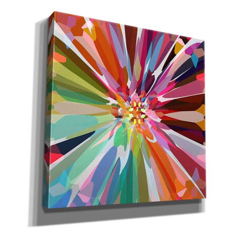 Image of 'Flower 16' by Shandra Smith, Canvas Wall Art,12x12x1.1x0,18x18x1.1x0,26x26x1.74x0,37x37x1.74x0