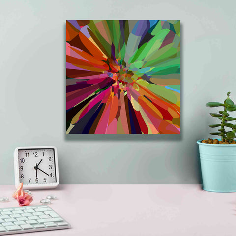 Image of 'Flower 27 ' by Shandra Smith, Canvas Wall Art,12 x 12