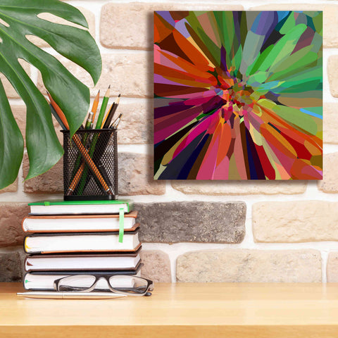 Image of 'Flower 27 ' by Shandra Smith, Canvas Wall Art,12 x 12