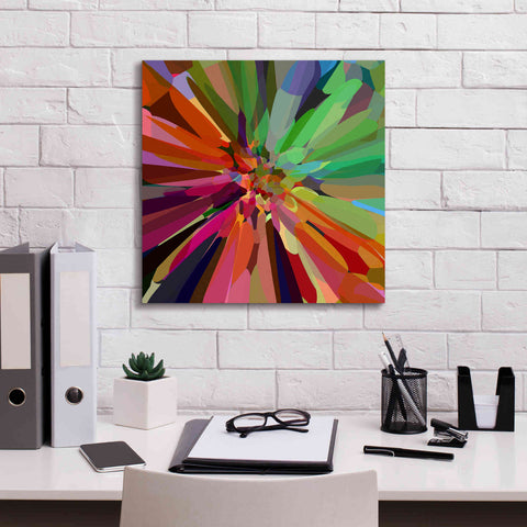 Image of 'Flower 27 ' by Shandra Smith, Canvas Wall Art,18 x 18