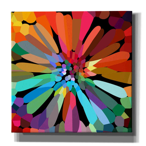 Image of 'Flower' by Shandra Smith, Canvas Wall Art,12x12x1.1x0,18x18x1.1x0,26x26x1.74x0,37x37x1.74x0