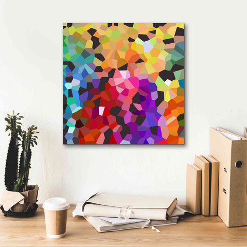 Image of 'Fooling Around' by Shandra Smith, Canvas Wall Art,18 x 18