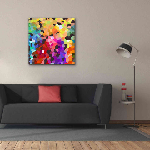 Image of 'Fooling Around' by Shandra Smith, Canvas Wall Art,37 x 37