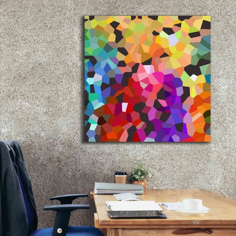 Image of 'Fooling Around' by Shandra Smith, Canvas Wall Art,37 x 37