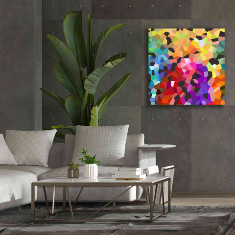 Image of 'Fooling Around' by Shandra Smith, Canvas Wall Art,37 x 37