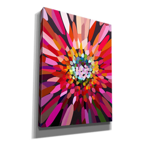 Image of 'Pink Flower' by Shandra Smith, Canvas Wall Art,12x16x1.1x0,20x24x1.1x0,26x30x1.74x0,40x54x1.74x0