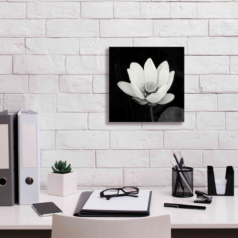 Image of 'Lotus Flower I' by Debra Van Swearingen, Canvas Wall Art,12 x 12