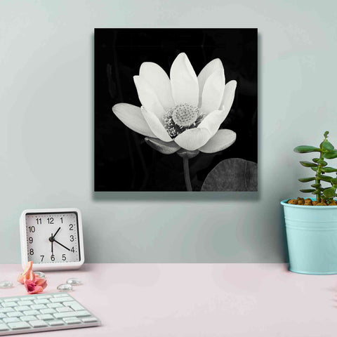 Image of 'Lotus Flower I' by Debra Van Swearingen, Canvas Wall Art,12 x 12