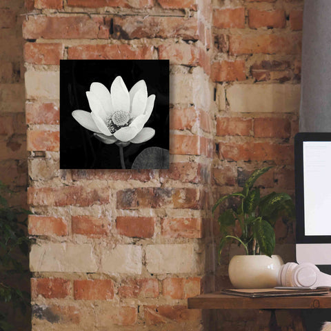 Image of 'Lotus Flower I' by Debra Van Swearingen, Canvas Wall Art,12 x 12