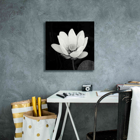 Image of 'Lotus Flower I' by Debra Van Swearingen, Canvas Wall Art,18 x 18