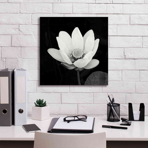Image of 'Lotus Flower I' by Debra Van Swearingen, Canvas Wall Art,18 x 18