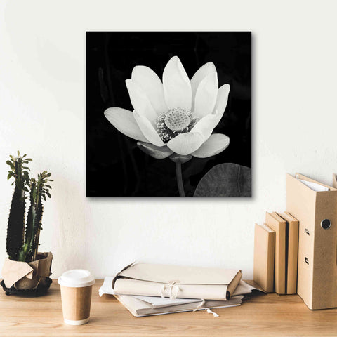Image of 'Lotus Flower I' by Debra Van Swearingen, Canvas Wall Art,18 x 18
